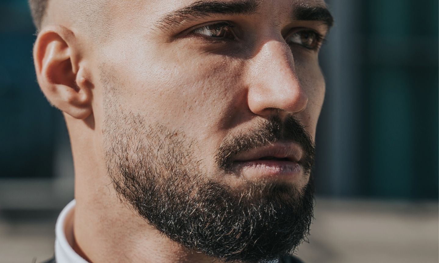 13 Short Beard Styles to Grow at Least Once - The Rugged Bros